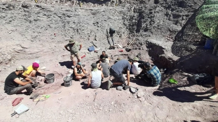 El pequeño municipio de La Rioja en el que vivió uno de los dinosaurios más grandes de la península ibérica: "Por todas partes"