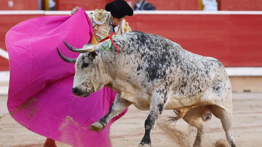 Pepe Moral, en el saludo de capote al toro de Cebada Gago al que cortaría una oreja