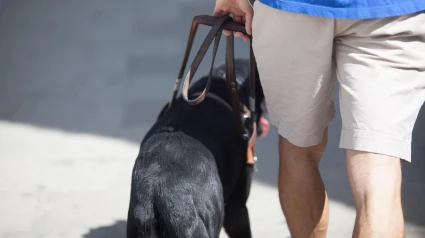 Un hombre ciego paseando junto a su perro guía
