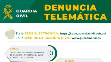Lista de qué se puede denunciar a través de la denuncia telemática.