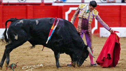 Natural de Bruno Aloi al novillo de El Parralejo al que ha cortado una oreja.