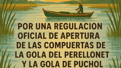 Manifestación Albufera