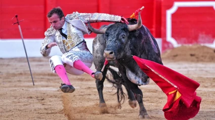 Momento de la voltereta sufrida por Damián Castaño en el primer toro de su lote
