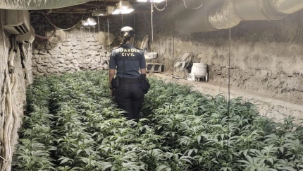 Detenido el propietario de una plantación de marihuana en una nave de aperos en Lújar