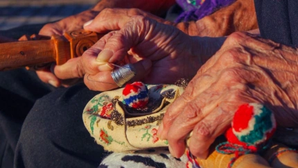 Imagen de las Jornadas Castellanas de Herrero de Suso
