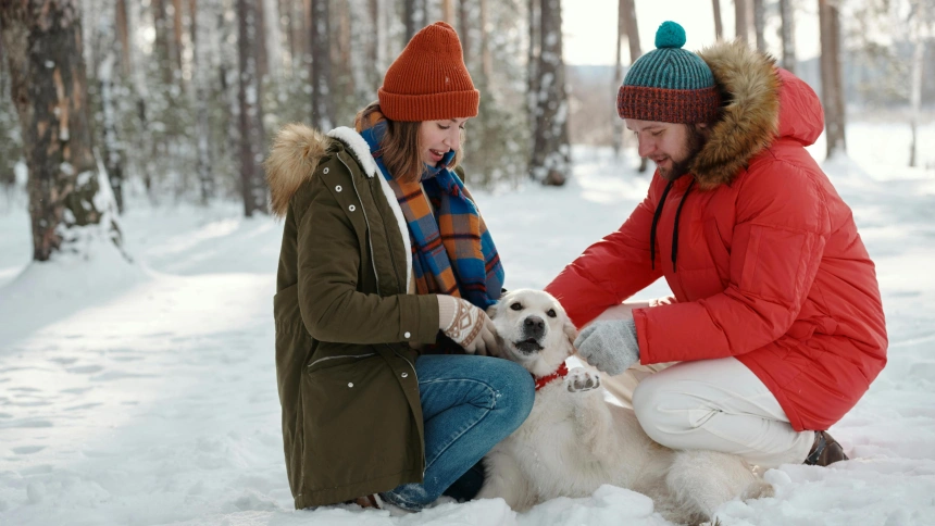 La nueva tendencia de viajar cuidando mascotas por el mundo no para de crecer