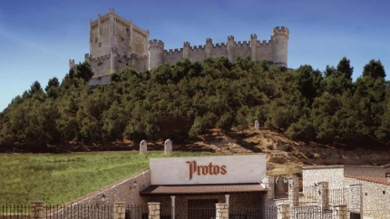 Bodegas Protos