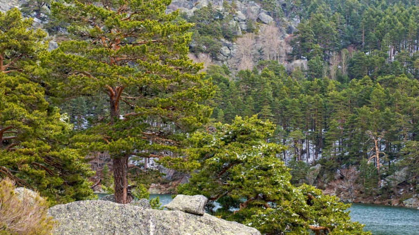 Picos de Urbión (Soria)