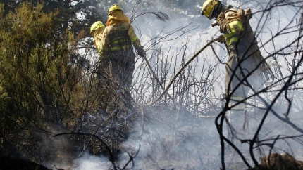 Los brigadistas intentan contener por segundo día el incendio en la zona limítrofe entre Ourense y Zamora