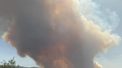 Incendio de Jarilla