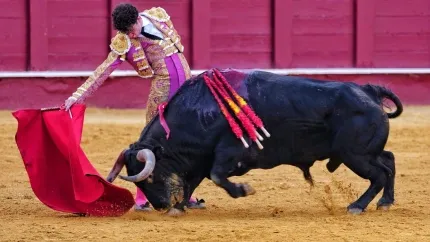 Derechazo de Víctor Hernández durante su actuación en Málaga