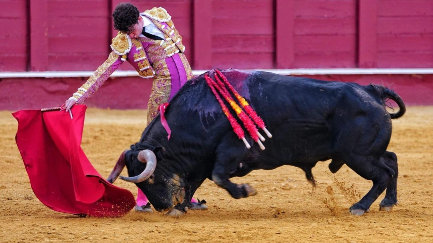 Derechazo de Víctor Hernández durante su actuación en Málaga