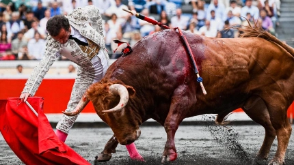 Oreja para Damián Castaño con un 'dolores' de vuelta al ruedo