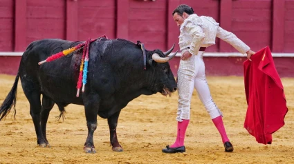 David de Miranda, ante el primer toro de su lote en Málaga