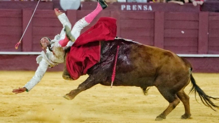 Momento de la voltereta sufrida por David de Miranda en Málaga