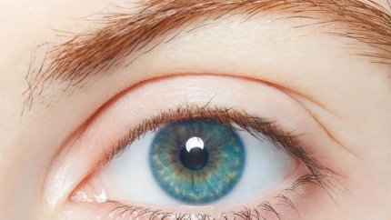 ojos
