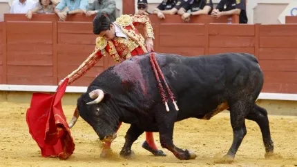 Marco Pérez, durante su actuación este miércoles en Cuenca