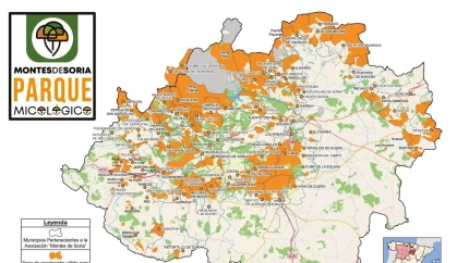 Montes de Soria integra a 105 propietarios forestales de Soria y Burgos y tramita los permisos micológicos