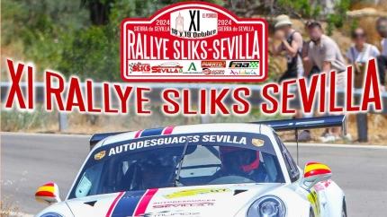 RALLY SLICKS