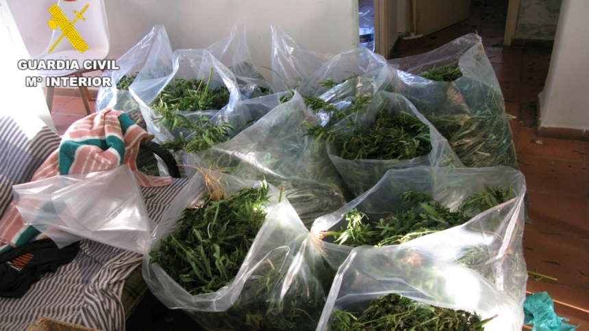 Cae un grupo criminal en Granada especializado en 'vuelcos' de marihuana