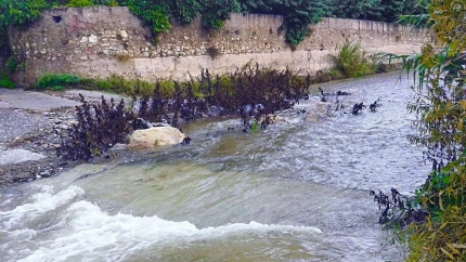 Las lluvias de la borrasca Claudia dan un respiro al campo de Almuñécar