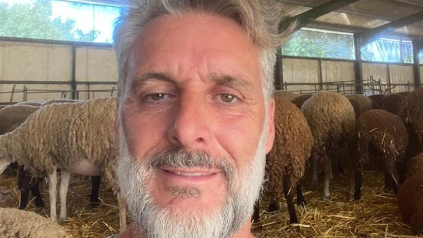 Pastoreo en Collserola