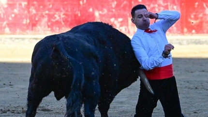 Momento de la cornada sufrida por El Peta en San Sebastián de los Reyes