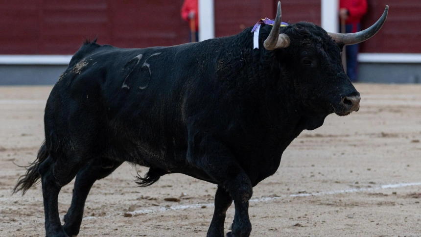 Cuadri, en El Albero