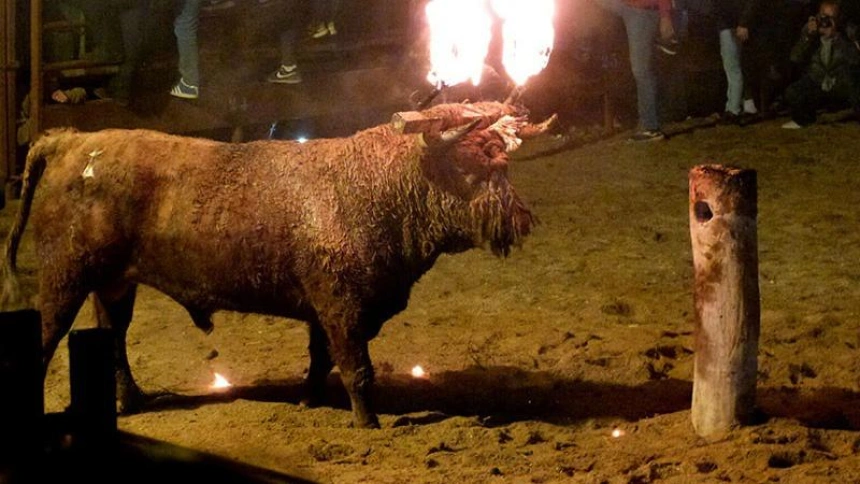 Archivo - Imagen del Toro Jubilo del año 2015