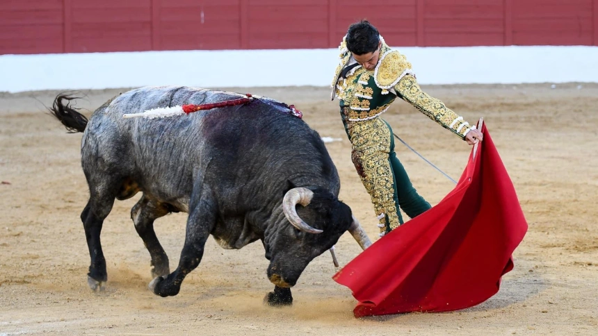 Natural de Mario Navas al toro de Partido de Resina