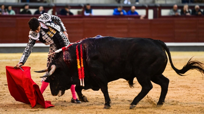 Derechazo de Pedro Andrés al sexto novillo del festejo