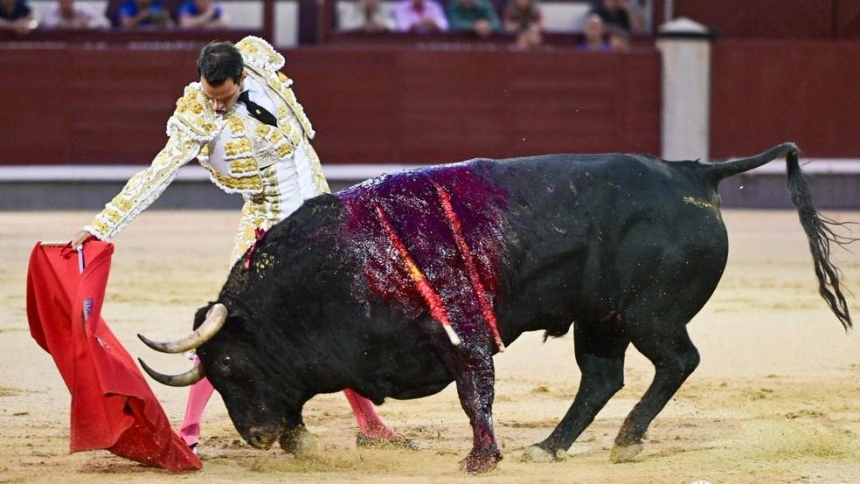 Derechazo de Antonio Puerta al toro de su confirmación de alternativa