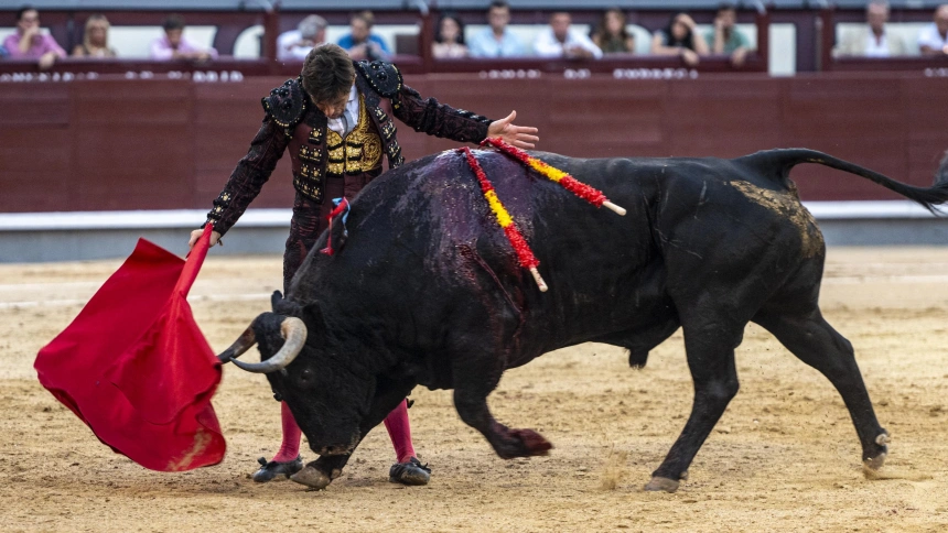 Alberto Lamelas durante la faena al quinto toro de Valdellán en Las Ventas