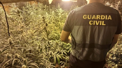 La Guardia Civil desarticula tres centros de producción de marihuana en Pulianas