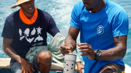 Loro Parque Fundación protege a los tiburones en Cabo Verde