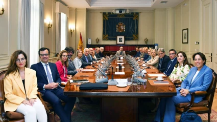 Reunión del Pleno del Consejo General del Poder Judicial