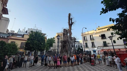 Concentración de vecinos en defensa del ficus de San Jacinto