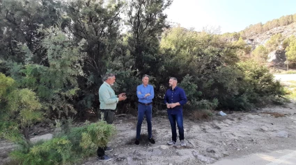 El alcalde de Lorca y los concejales de Emergencias y Agua ante los tarayes del cauce del río