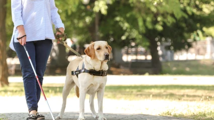 Una persona ciega paseando con su perro guía