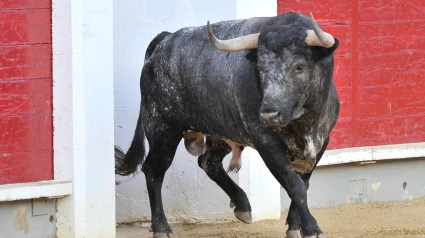 Plaza de Toros Albacete