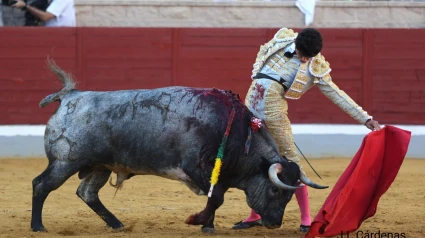 Natural de Emiliano Osornio al novillo de Partido de Resina