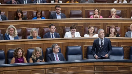 El ministro del Interior, Fernando Grande-Marlaska, interviene durante una sesión de control al Gobierno