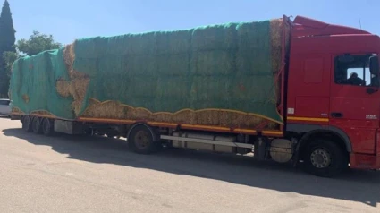 Transporte de forraje