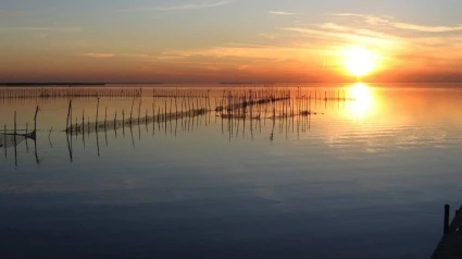 L'Albufera quiere ser reserva natural de la Biosfera