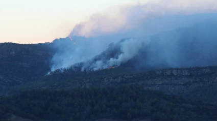 El fuego de Porrera está perimetrado y quedará estabilizado durante esta mañana