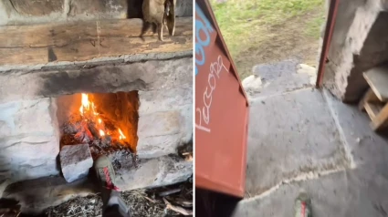 El joven que vive en los montes de Palencia