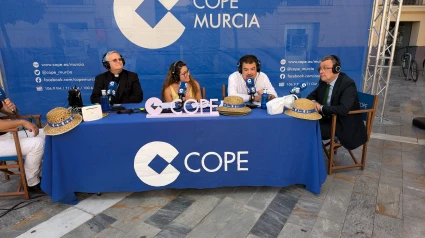 Programa especial Romería