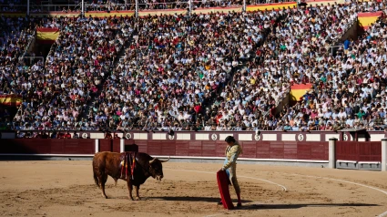 Imagen de los tendidos de la plaza de Las Ventas durante la última Feria de San Isidro