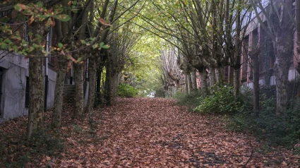 Otoño en Asturias