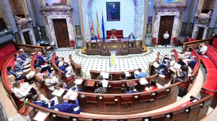 PLENO MUNICIPAL